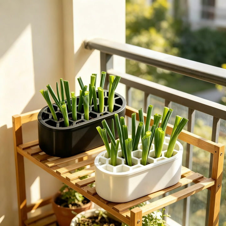 Hydroponic growing box for herbs and vegetables