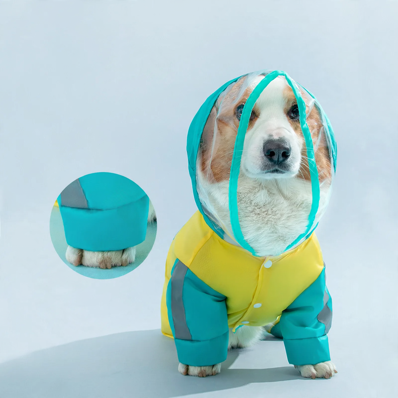 Waterproof raincoat for small and medium dogs