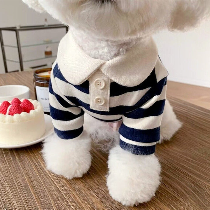 Knitted sweater for cats and small dogs