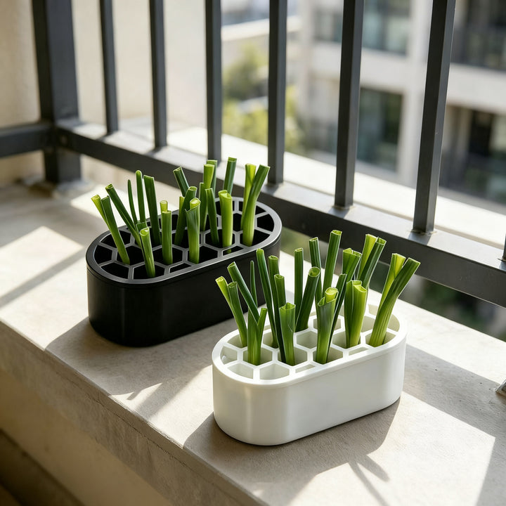 Hydroponic growing box for herbs and vegetables