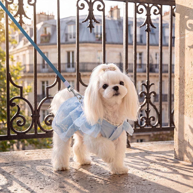 Princess dress for small dogs, summer