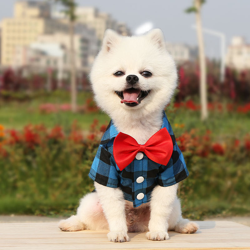 Pet shirt with collar, polyester, two legs