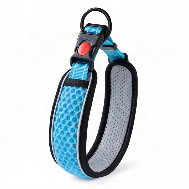 Dog collar made of polypropylene