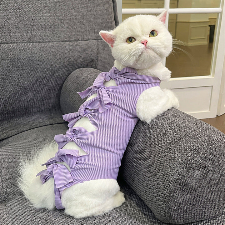 Protective clothing for pets after surgeries