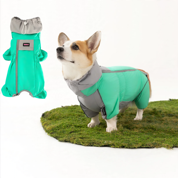 Padded winter jacket for dogs