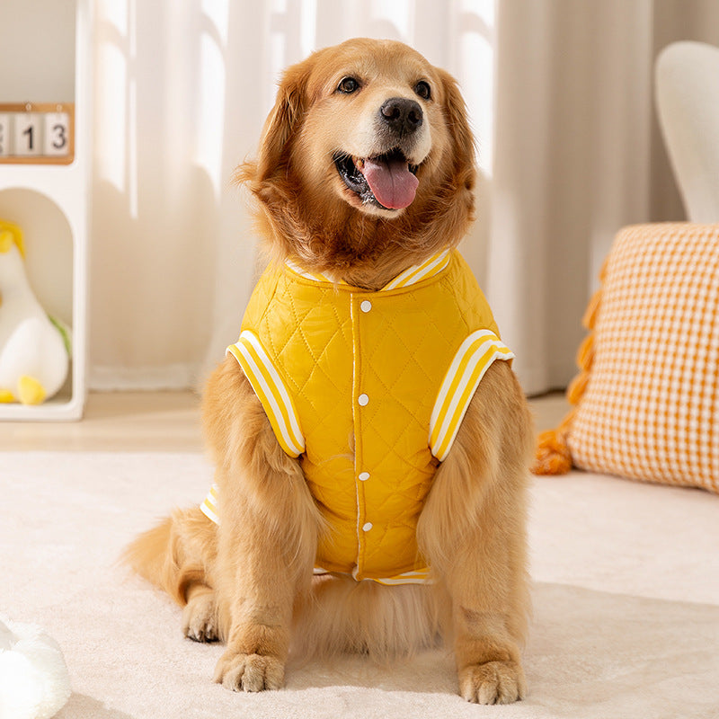 Padded vest for large dogs