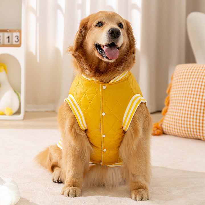 Padded vest for large dogs