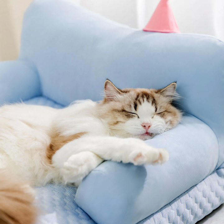 Cooling pet bed with backrest