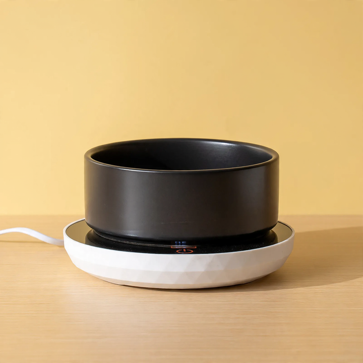 Heated ceramic bowl for cats and dogs