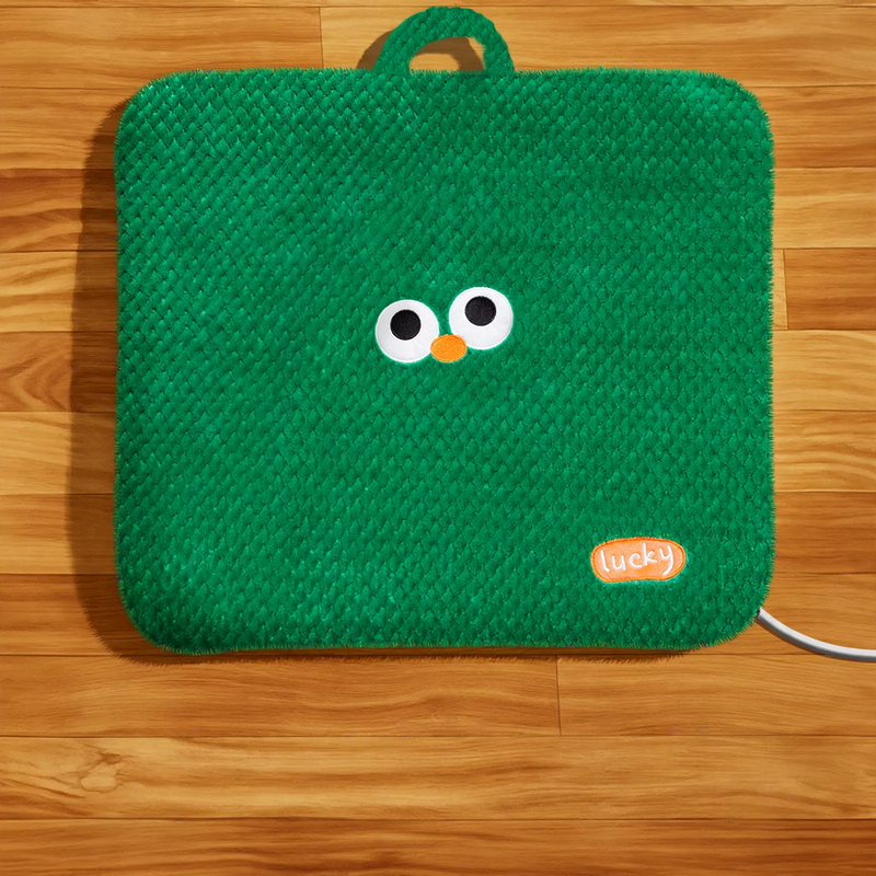 Heated pet mat with cover