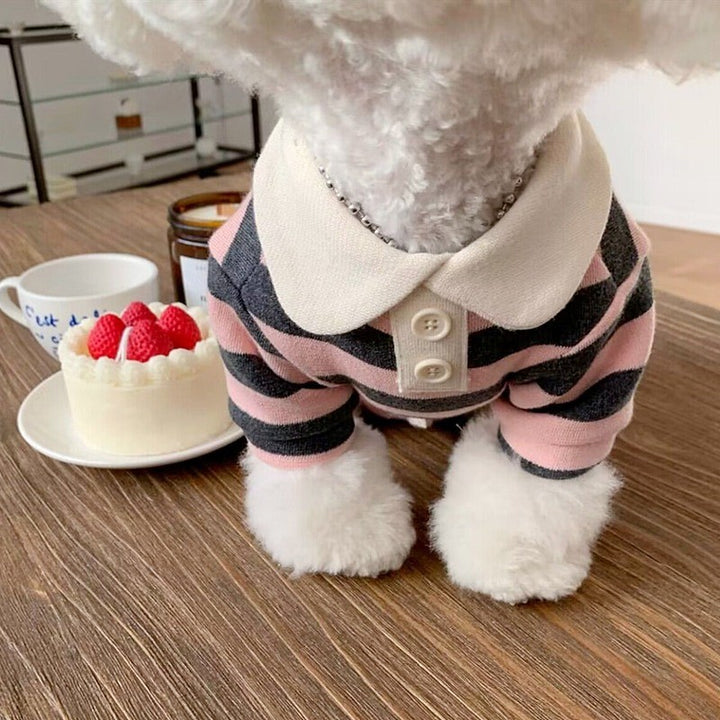 Knitted sweater for cats and small dogs