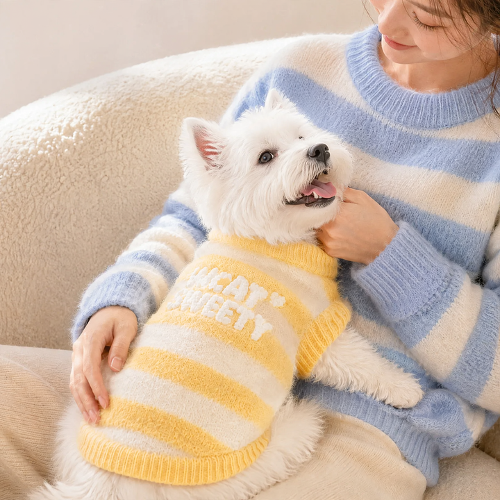 Knitted sweater for pets, two-armed, striped pattern