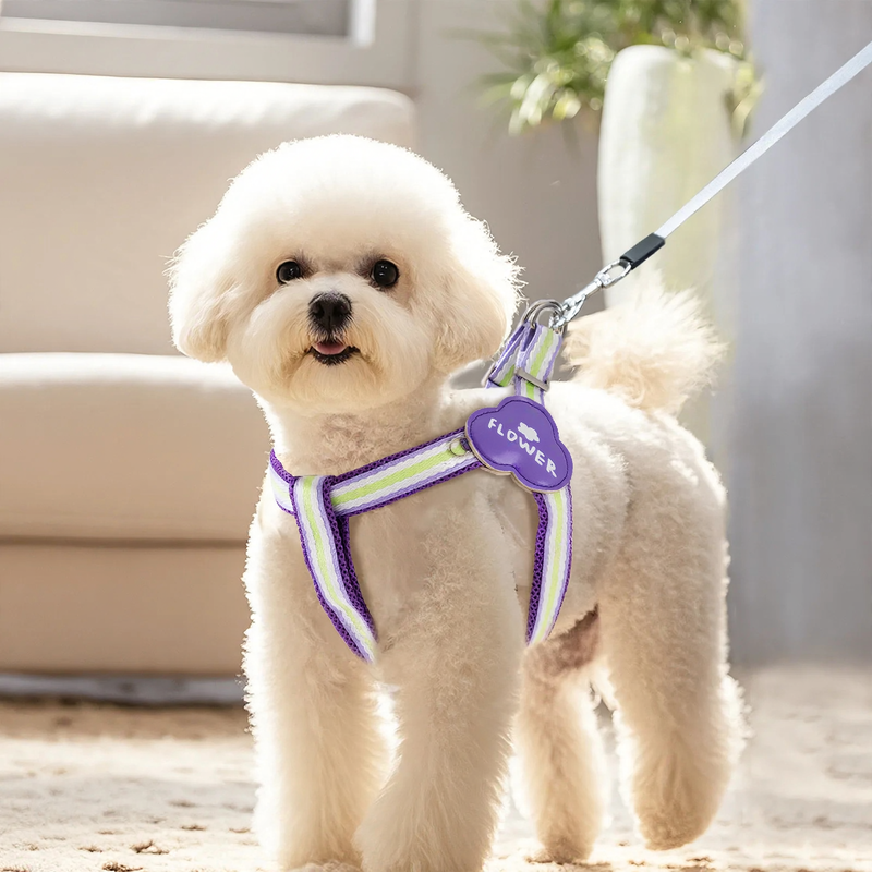 Y-shaped dog harness with leash, fabric