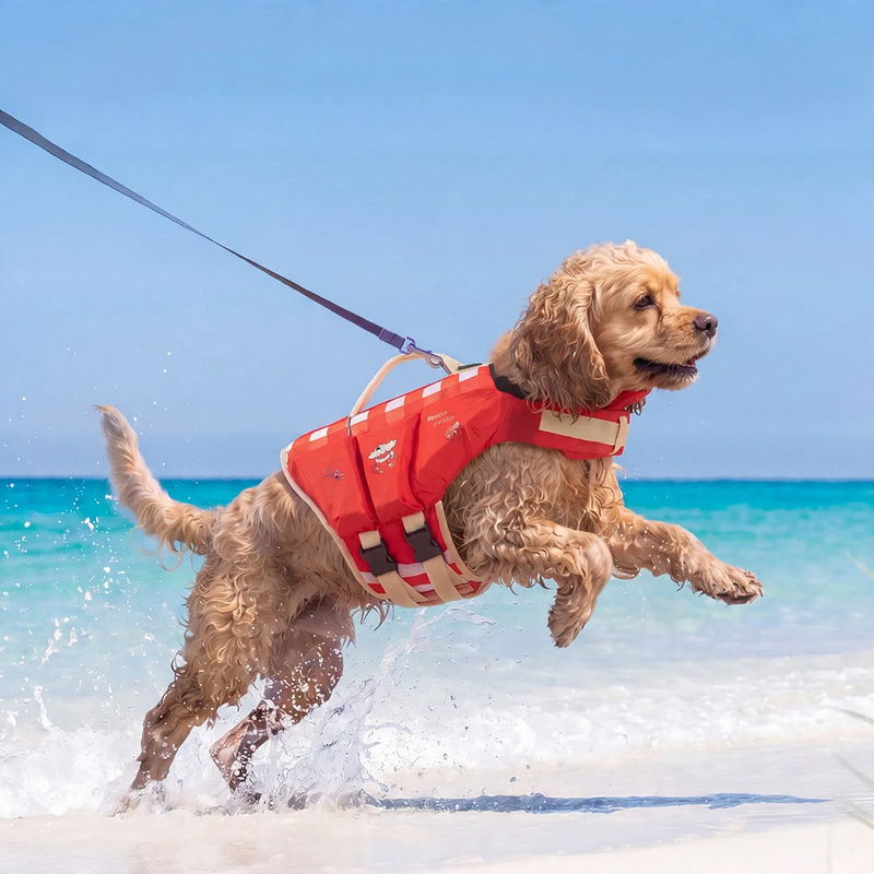 Life jacket for dogs, summer, various sizes