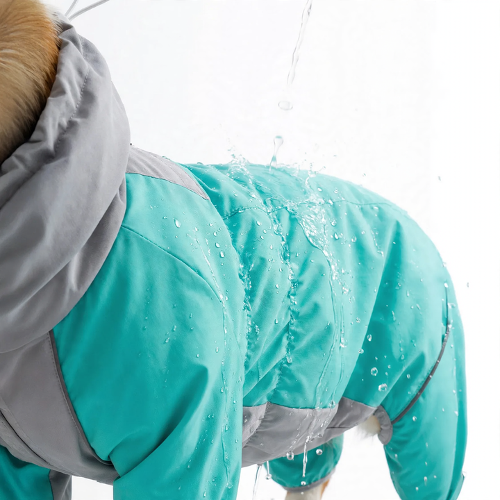 Padded winter jacket for dogs