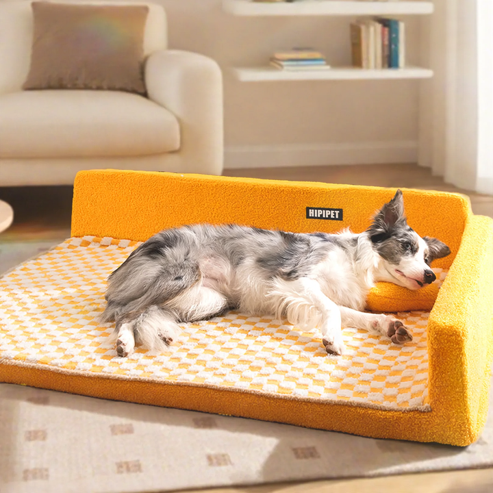 Dog bed, semi-closed, washable, foam