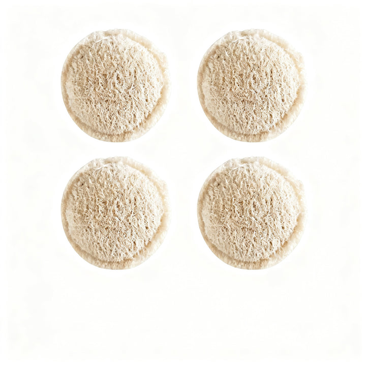 Pot brush with loofah sponge, long handle