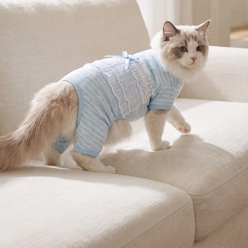 Cat belly protection, thin, four legs, summer