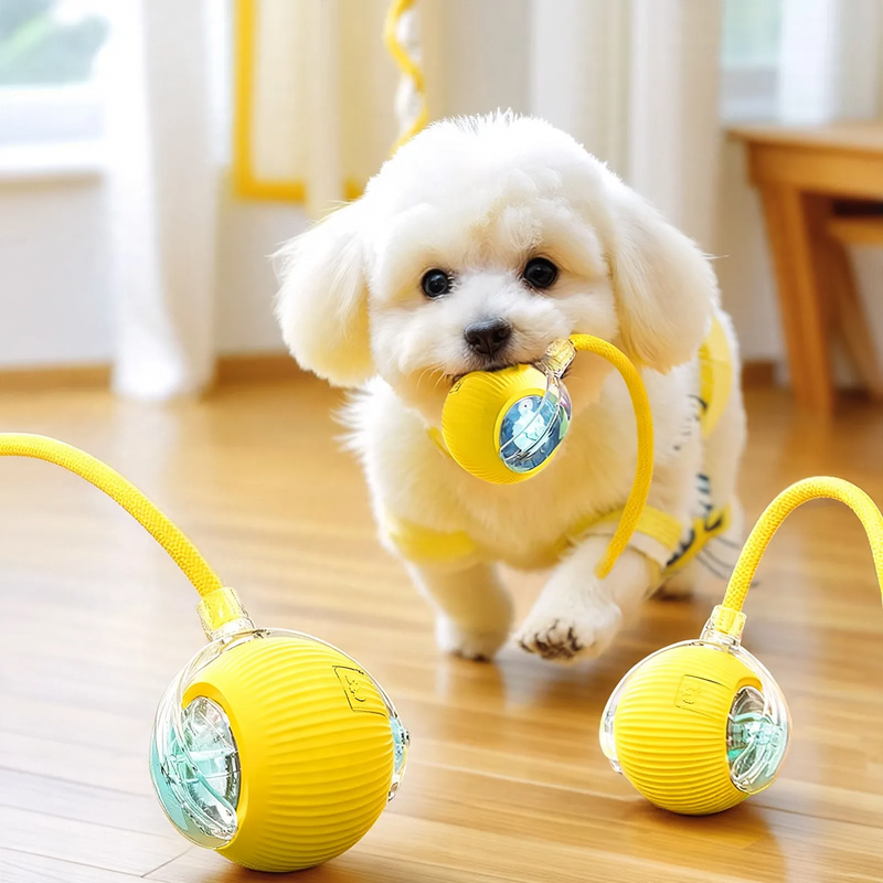 Interactive spring ball for cats with charging