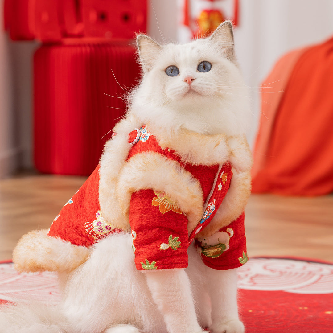 Chinese winter jacket for cats and dogs