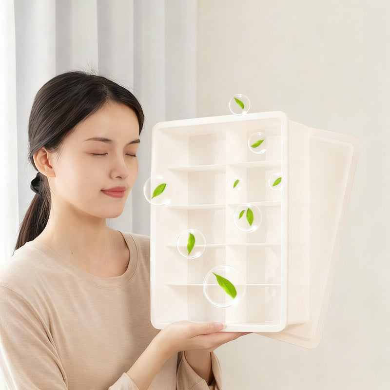 Plastic organizer for underwear and socks