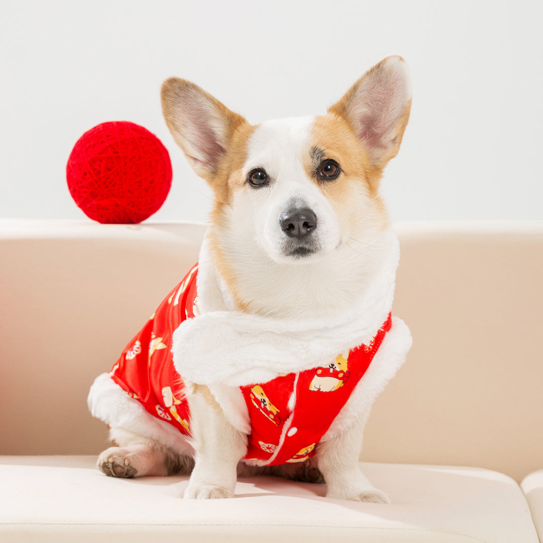 Chinese winter coat for medium dogs with scarf