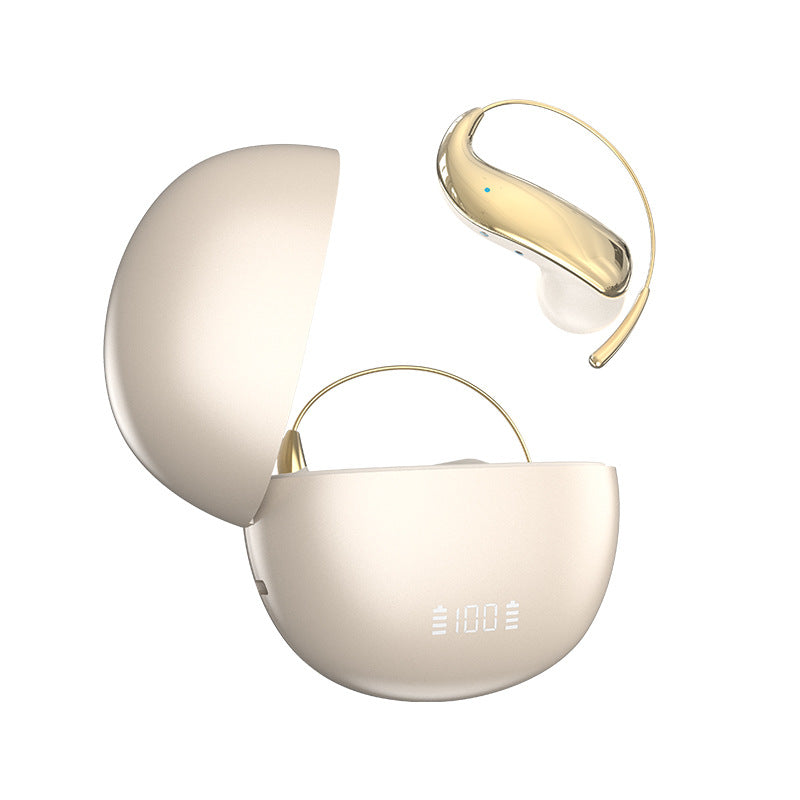 Wireless earbuds for hanging with AI translation