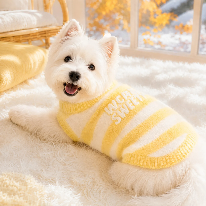 Pet sweater with letter pattern