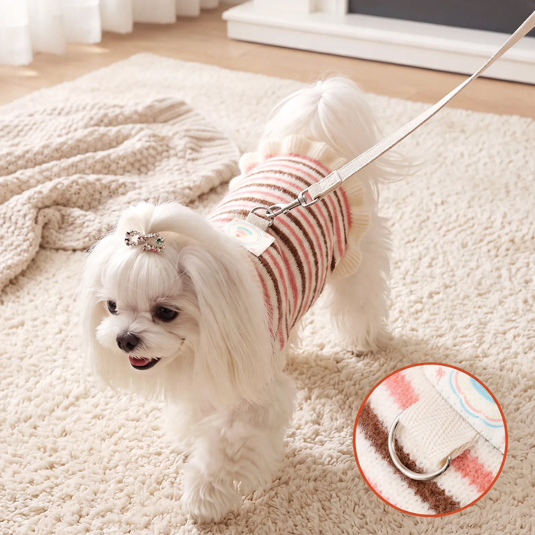 Striped sweater for small dogs and cats