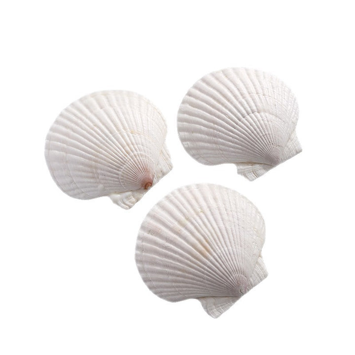 Scented candle soy wax, shell shape, handmade