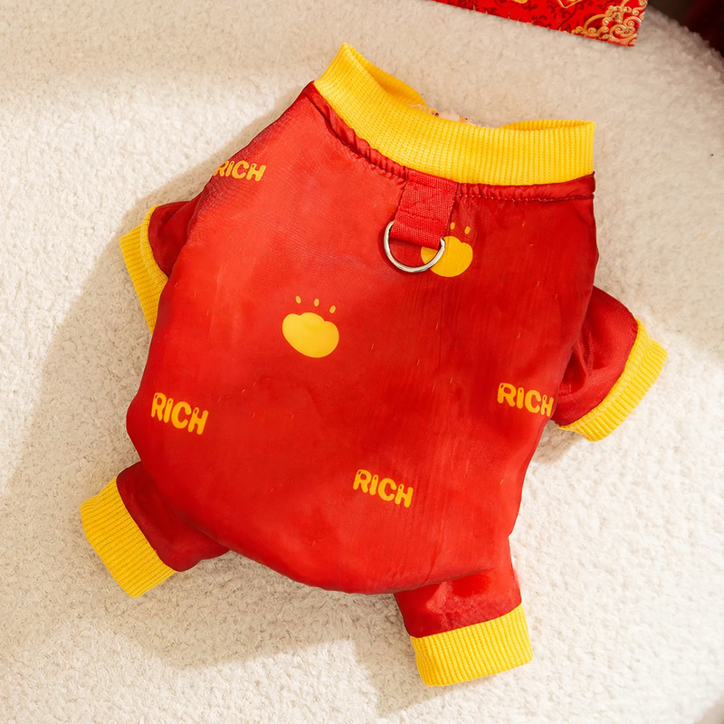 Winter coat for small dogs with harness