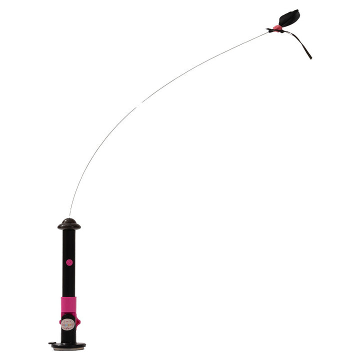 Electric cat toy with rotating butterfly, rechargeable