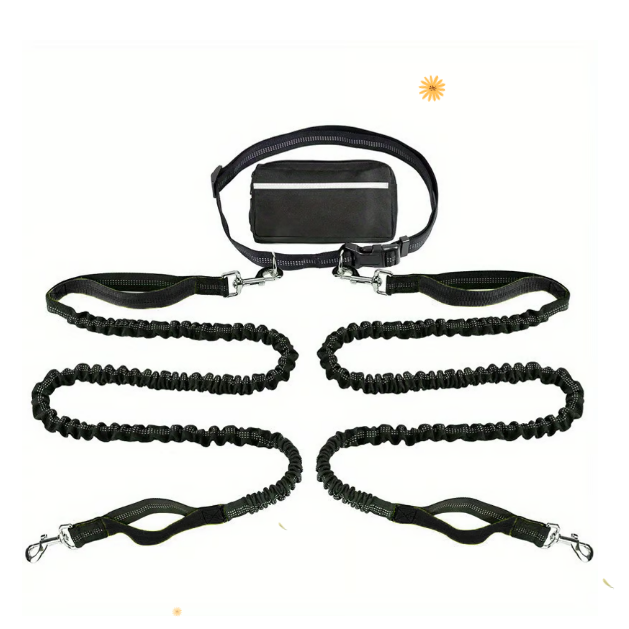 FlowLeash — Experience gentle control and relaxed walks without jerks! | Kalsten