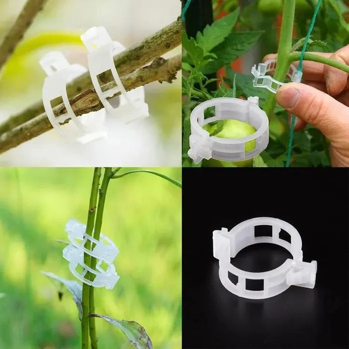 VitaGrip Clips — Strong hold for majestic plants that grow and thrive proudly | Kalsten