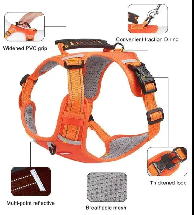 DogGrip Walk safely with your dog | Kalsten