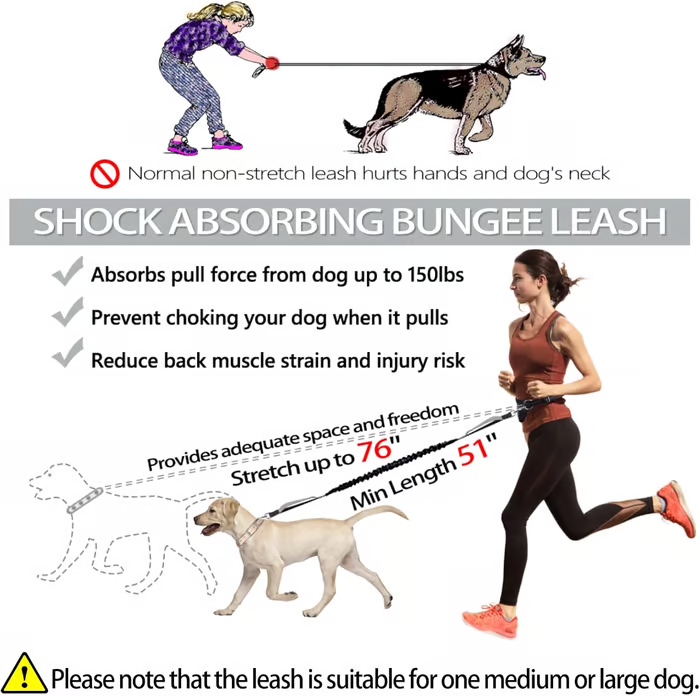 Kalsten | PawsFree Pro – Enjoy stress-free walks with your dog