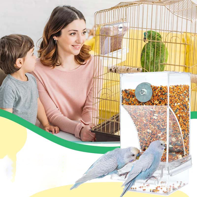 Automatic, leak-proof bird feeder | Kalsten