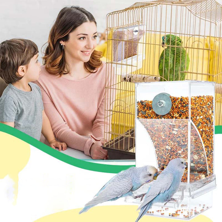 Automatic, leak-proof bird feeder | Kalsten