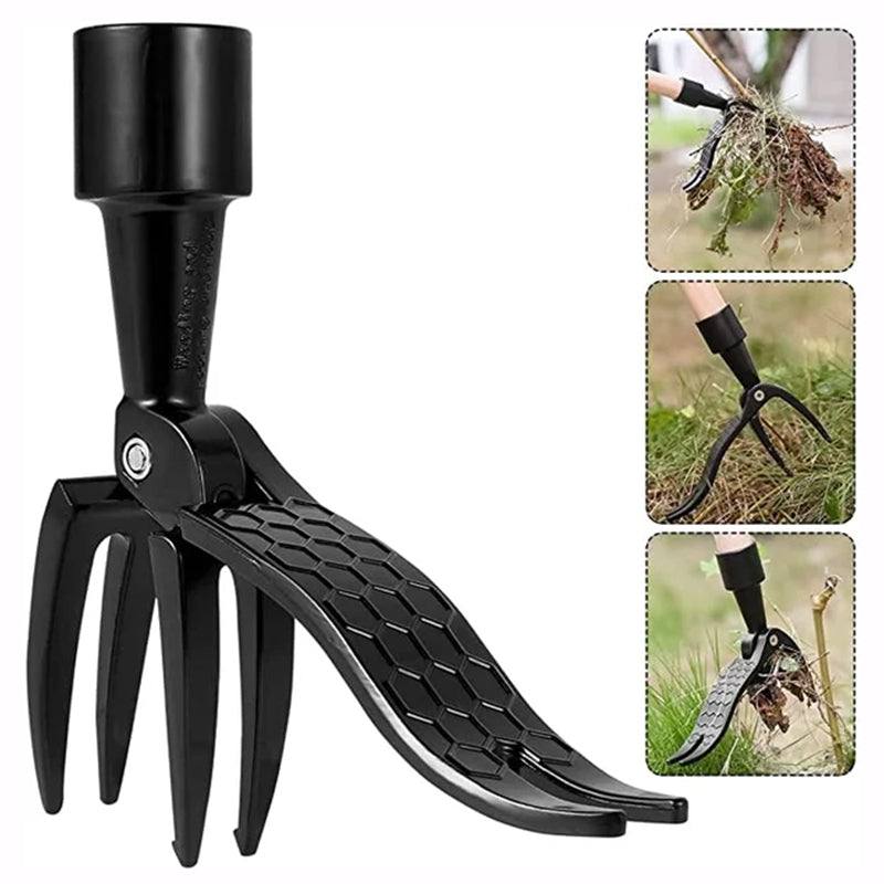 Noxord | Stainless steel adjustable long handle detachable weeder