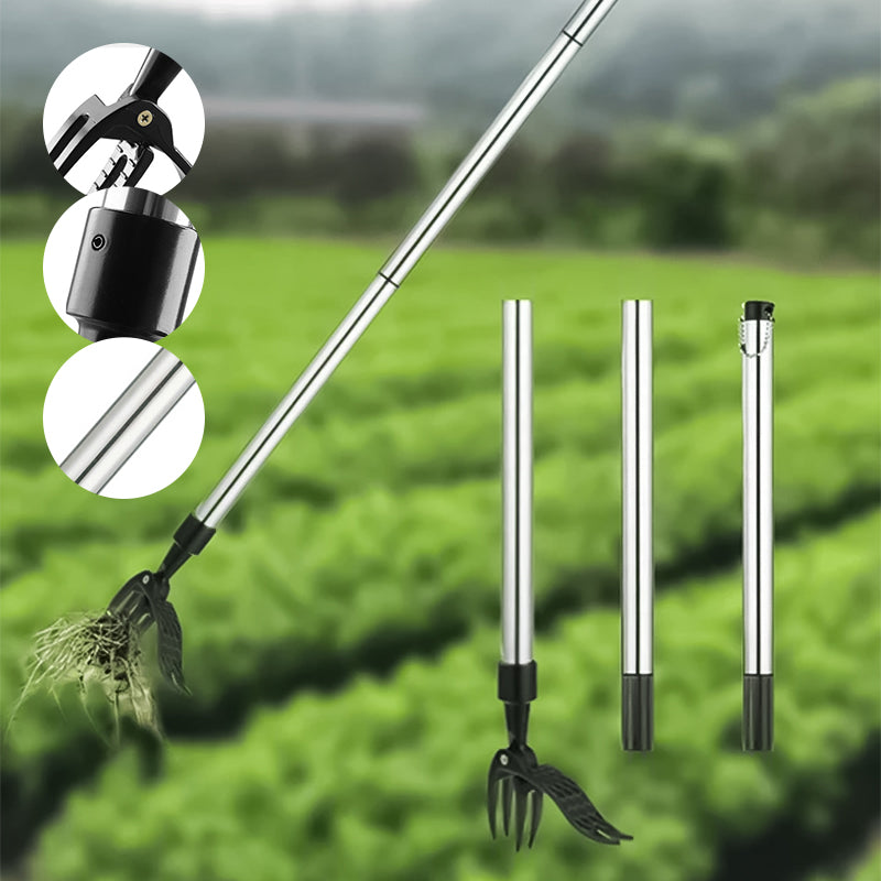Noxord | Stainless steel adjustable long handle detachable weeder