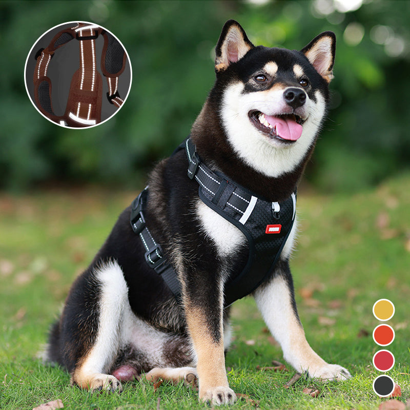 Reflective Dog Harness | Kalsten