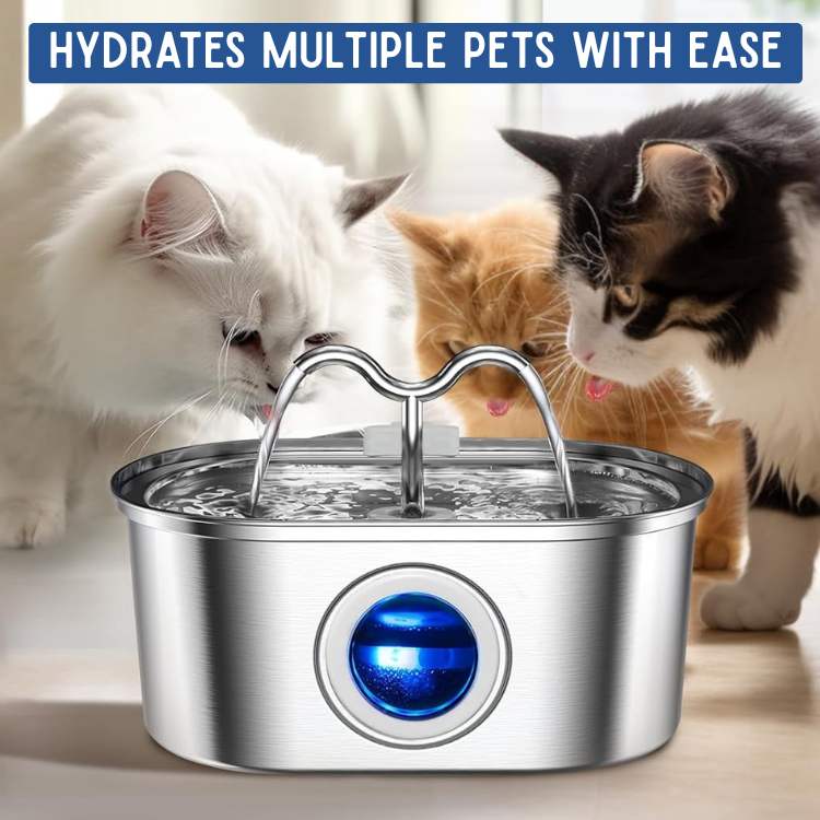 Kalsten | Cat Water Fountain made of Stainless Steel – Quiet, Hygienic and BPA-free – 2L Capacity