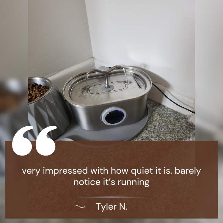 Kalsten | Cat Water Fountain made of Stainless Steel – Quiet, Hygienic and BPA-free – 2L Capacity