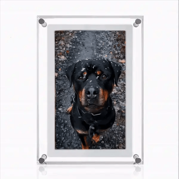 Digital Photo Frame - Eternalize your beautiful memories Noxord