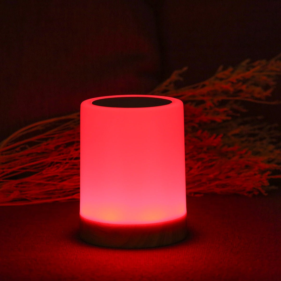 Halina Dimmable Battery Table Lamp with Touch Control Element | Kalsten