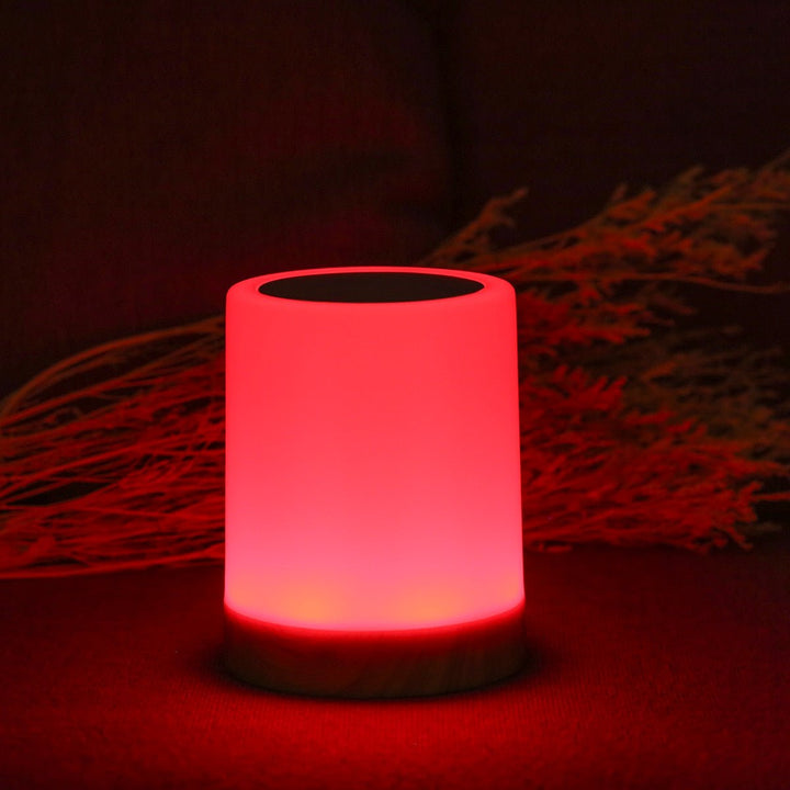 Halina Dimmable Battery Table Lamp with Touch Control Element | Kalsten