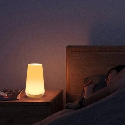 Halina Dimmable Battery Table Lamp with Touch Control Element | Kalsten