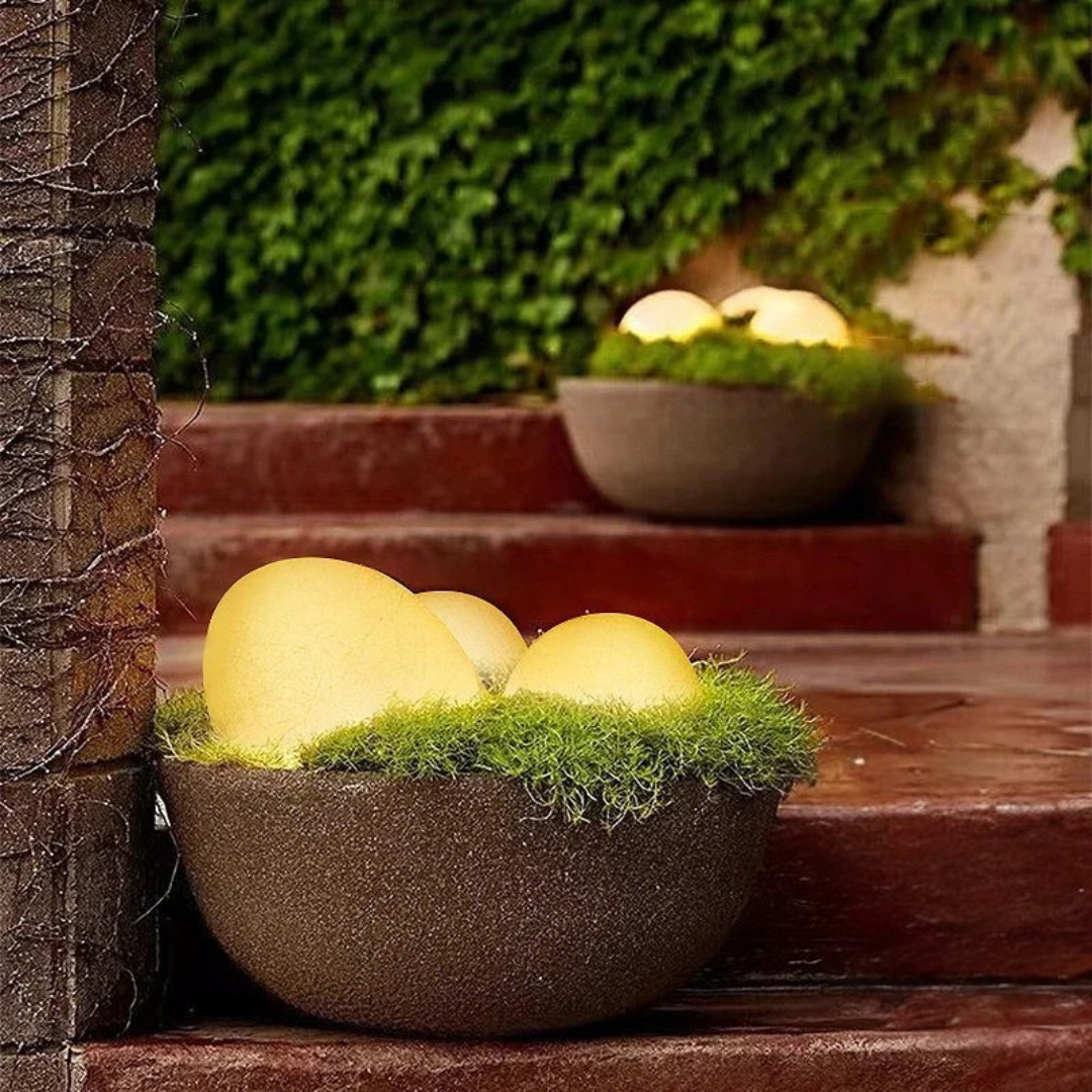Outdoor Decorative LED Garden Light Noxord