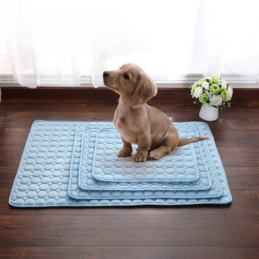 Cooling Dog Mat – Summer Comfort Noxord