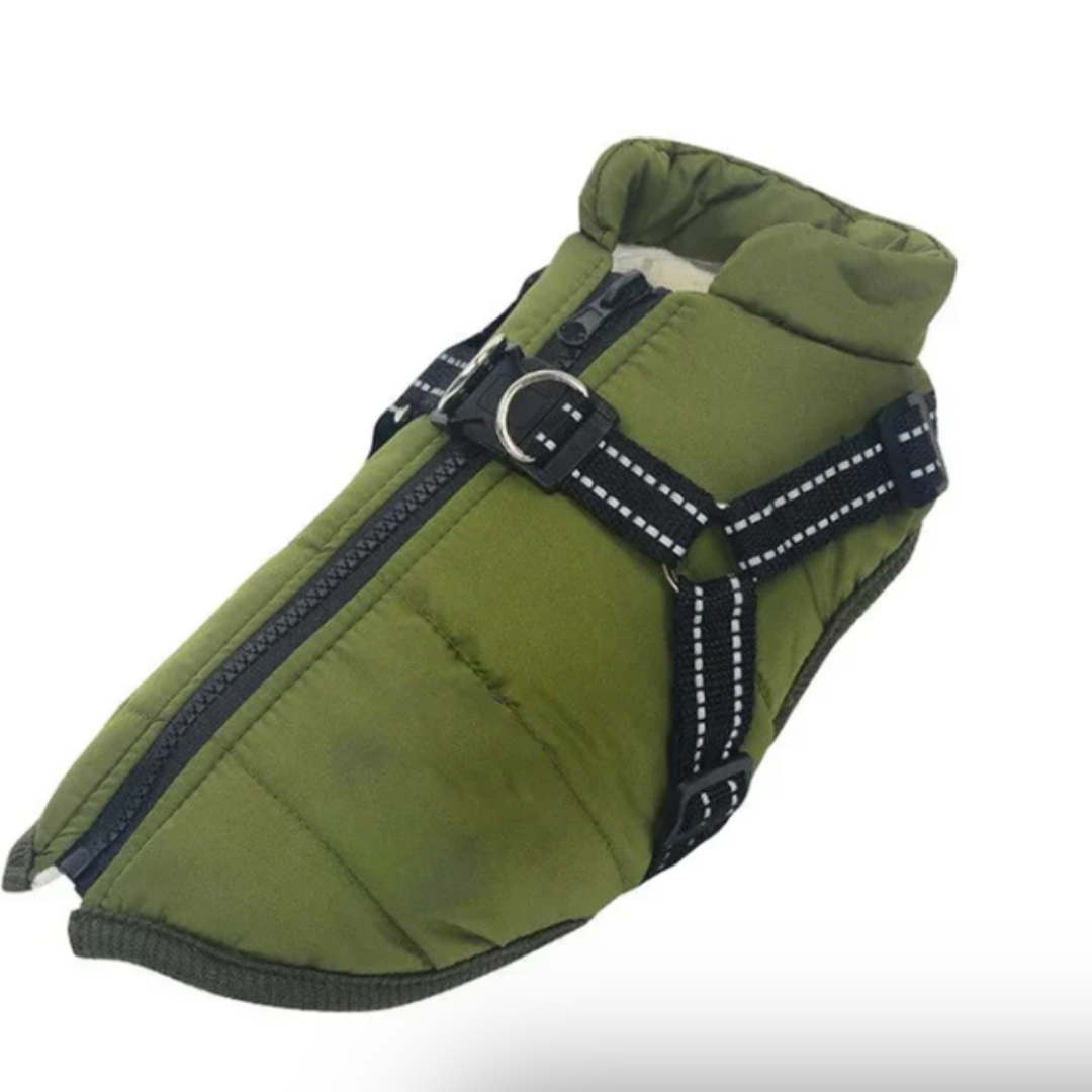 Dog Crate Harness for Winter Travel Noxord